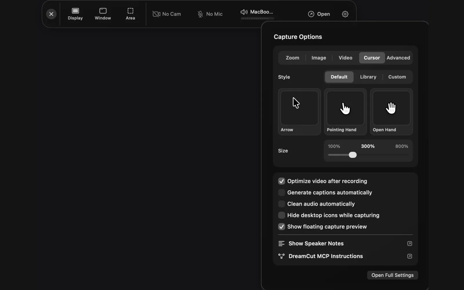 Capture Options on the Cursor tab with its defaults: Style set to Default with Arrow, Pointing Hand and Open Hand previews, and Size at 300%
